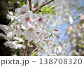 春の青空と桜のクローズアップ 138708320