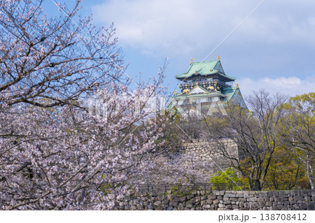 大阪城　大阪城公園　満開の桜 138708412