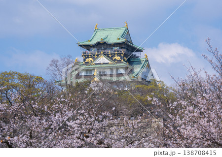 大阪城 大阪城公園 満開の桜 大阪城 大阪城公園 満開の桜 138708415