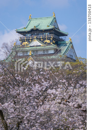 大阪城 大阪城公園 満開の桜 大阪城 大阪城公園 満開の桜 138708418