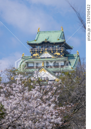 大阪城　大阪城公園　満開の桜 138708422