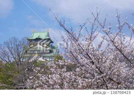 大阪城　大阪城公園　満開の桜 138708423