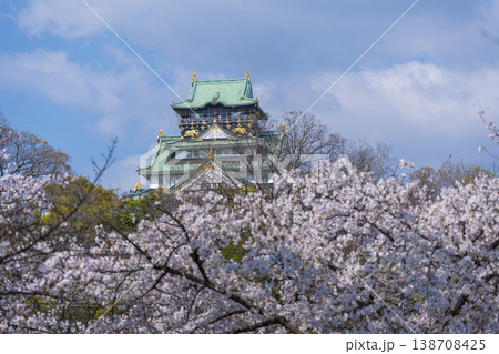 大阪城 大阪城公園 満開の桜 大阪城 大阪城公園 満開の桜 138708425