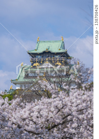 大阪城　大阪城公園　満開の桜 138708426
