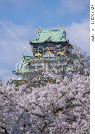 大阪城　大阪城公園　満開の桜 138708427
