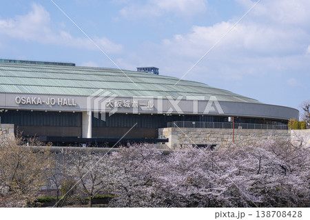 大阪城ホール　大阪城公園　満開の桜 138708428