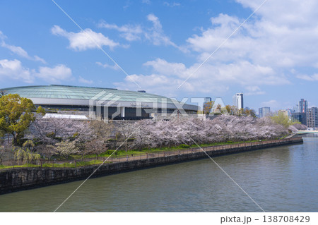 大阪城ホール　大阪城公園　満開の桜 138708429