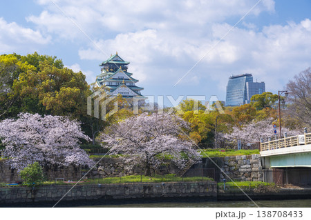大阪城　大阪城公園　新鴨野橋　満開の桜 138708433
