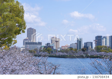 大川沿いの桜並木【大阪 毛馬桜之宮公園】 大川沿いの桜並木【大阪 毛馬桜之宮公園】 138708434