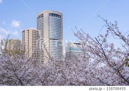 大阪　毛馬桜之宮公園の桜とOAPタワー 138708435