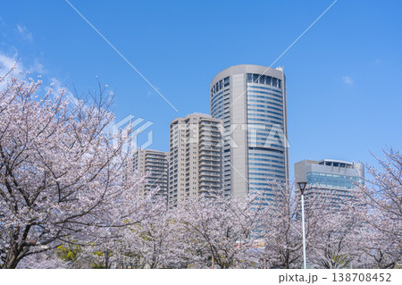 大阪 毛馬桜之宮公園の桜とOAPタワー 大阪 毛馬桜之宮公園の桜とOAPタワー 138708452