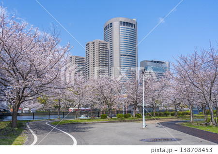 大阪 毛馬桜之宮公園の桜とOAPタワー 大阪 毛馬桜之宮公園の桜とOAPタワー 138708453