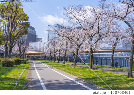 桜宮公園　川崎橋　満開の桜【大阪】 138708461