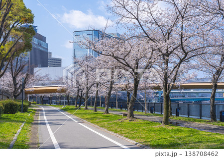桜宮公園 川崎橋 満開の桜【大阪】 桜宮公園 川崎橋 満開の桜【大阪】 138708462