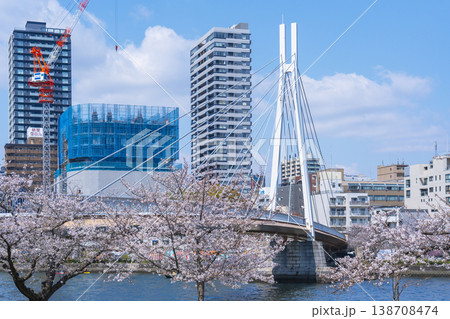 桜宮公園 川崎橋 満開の桜【大阪】 桜宮公園 川崎橋 満開の桜【大阪】 138708474