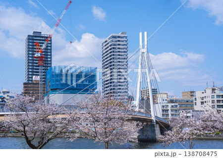 桜宮公園 川崎橋 満開の桜【大阪】 桜宮公園 川崎橋 満開の桜【大阪】 138708475