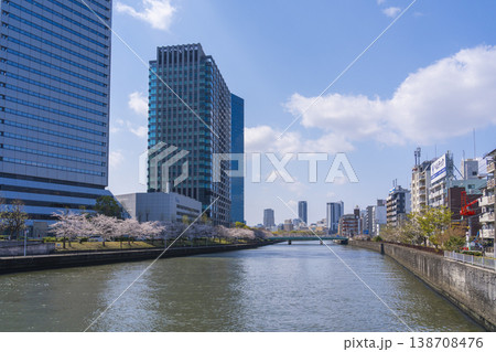 満開の桜　OBP　寝屋川沿い 138708476