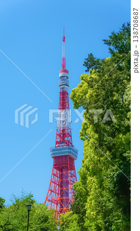 東京タワーと青空 東京タワーと青空 138708687