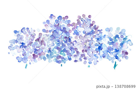 水彩画。水彩タッチの紫陽花イラスト。紫陽花の梅雨イラスト。ベクターアート。 138708699