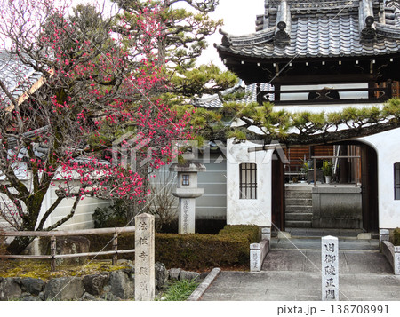法住寺　竜宮門と八重紅梅 138708991