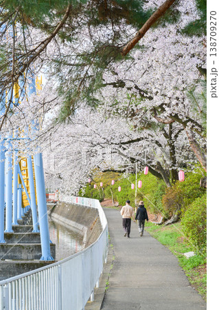桜満開の華蔵寺公園 138709270