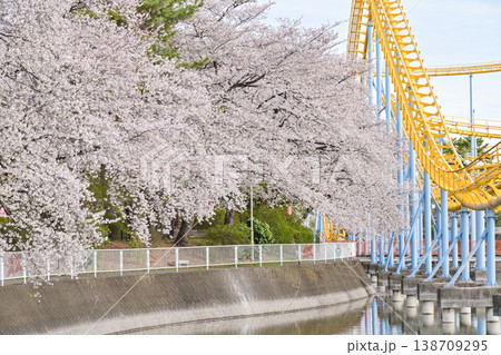桜満開の華蔵寺公園 138709295
