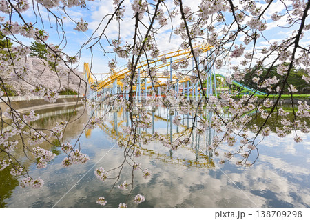 桜満開の華蔵寺公園 138709298