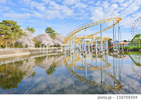 桜満開の華蔵寺公園 138709304