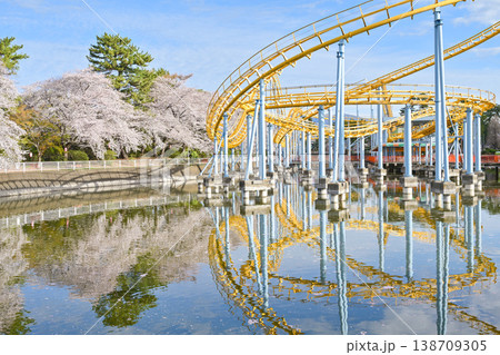 桜満開の華蔵寺公園 138709305