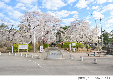 桜満開の華蔵寺公園 桜満開の華蔵寺公園 138709314
