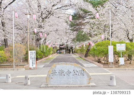 桜満開の華蔵寺公園 138709315