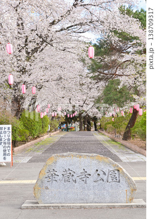 桜満開の華蔵寺公園 桜満開の華蔵寺公園 138709317
