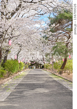 桜満開の華蔵寺公園 桜満開の華蔵寺公園 138709326