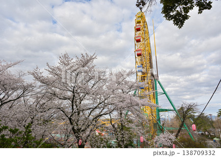 桜満開の華蔵寺公園 桜満開の華蔵寺公園 138709332