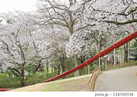桜満開の華蔵寺公園 桜満開の華蔵寺公園 138709336