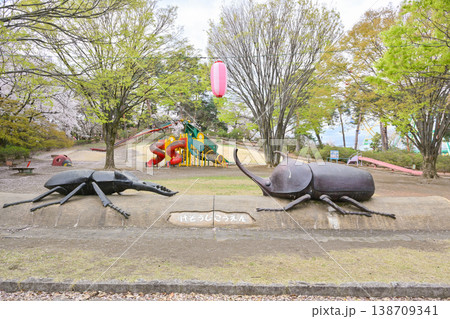 桜満開の華蔵寺公園 138709341