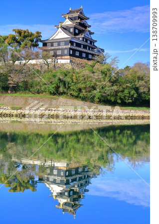 【岡山県】快晴のシンメトリーな岡山城天守閣 138709993