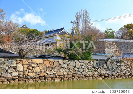 【岡山県】満開の桜と岡山城 【岡山県】満開の桜と岡山城 138710048