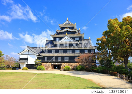 【岡山県】快晴の岡山城天守閣 138710054