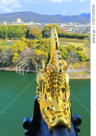 【岡山県】岡山城天守閣の金鯱瓦と後楽園 【岡山県】岡山城天守閣の金鯱瓦と後楽園 138710056