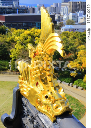 【岡山県】岡山城天守閣の金鯱瓦と岡山県庁 138710059