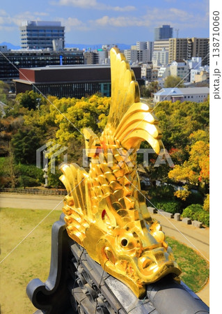 【岡山県】岡山城天守閣の金鯱瓦と岡山県庁 【岡山県】岡山城天守閣の金鯱瓦と岡山県庁 138710060