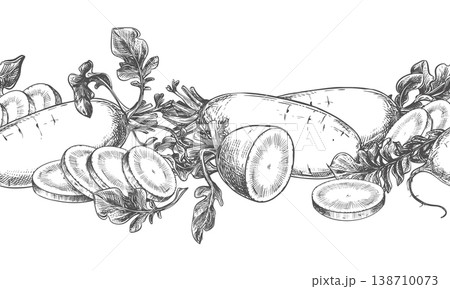 Daikon sketch. Vector illustration of the vegetable in an engraving style. Seamless pattern of whole roots and slices of radish lying on a table. Hand drawn, imitating etching. Horizontal ornament. 138710073