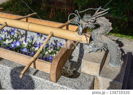 晴明神社　手水鉢（手水舎） 138710320