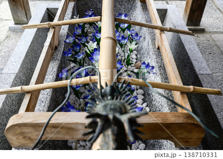 晴明神社 手水鉢(手水舎) 晴明神社 手水鉢(手水舎) 138710331