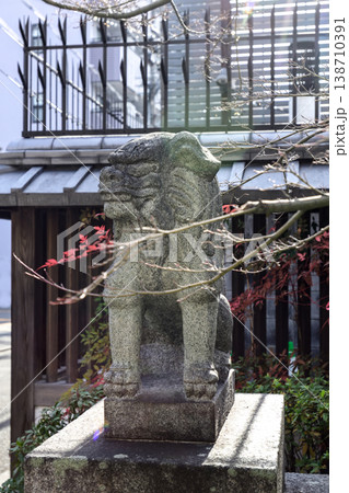 晴明神社の狛犬 晴明神社の狛犬 138710391