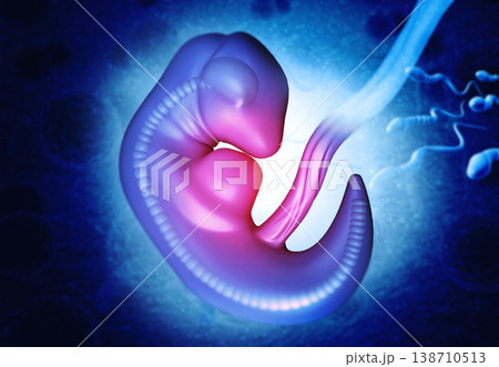 Human fetus Human fetus 138710513