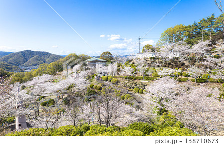 穏やかな春の広島県尾道市千光寺公園の桜 穏やかな春の広島県尾道市千光寺公園の桜 138710673