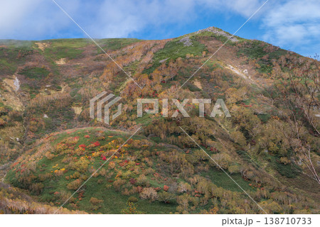 栂池自然園の紅葉 栂池自然園の紅葉 138710733