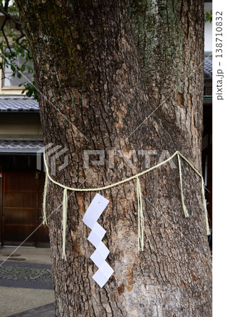 晴明神社　御神木　楠 138710832